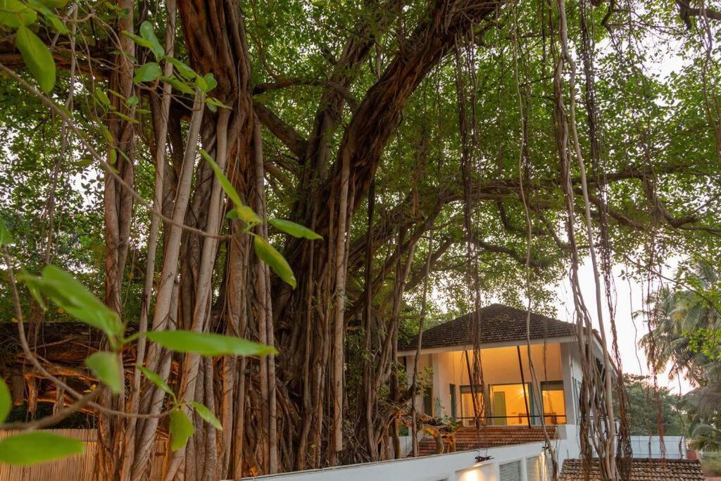White Banyan Beach Villa, Candolim By The Acacia Villas Exterior photo