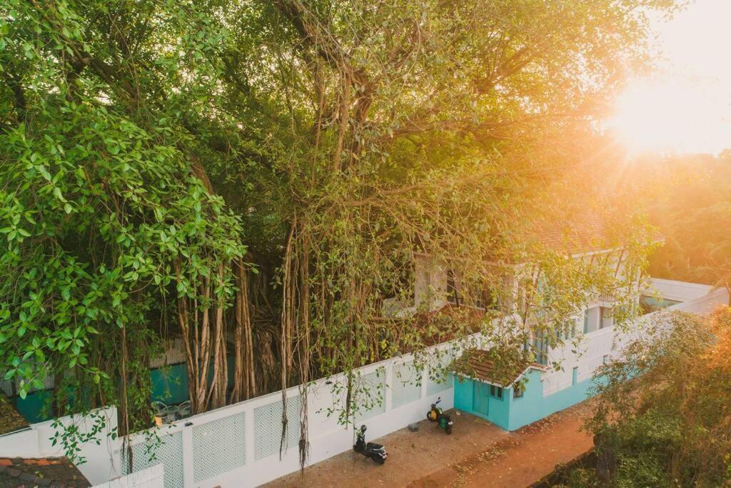 White Banyan Beach Villa, Candolim By The Acacia Villas Exterior photo